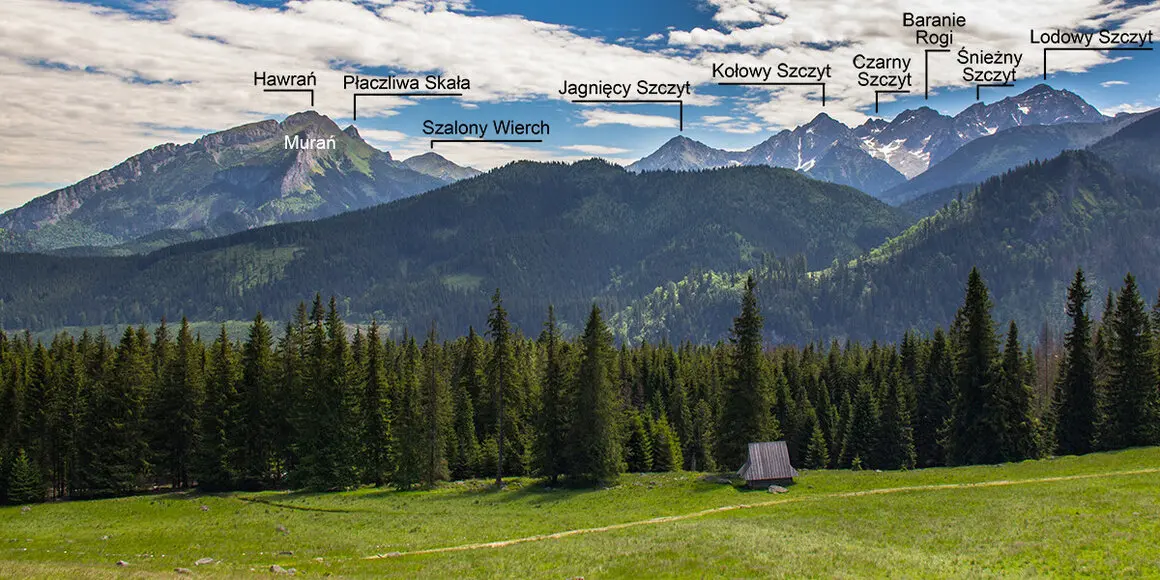 Panorama z Rusinowej Tatry Bielskie i Wysokie Widok na tatry Bielskie i Wysokie